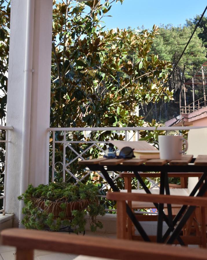 Magnolia House In Ioannina Apartman Kültér fotó